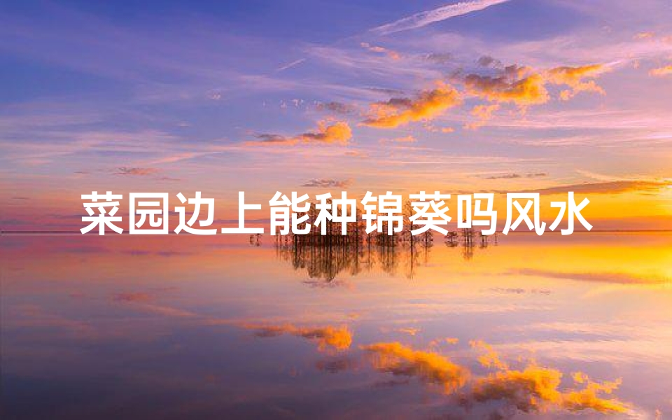 菜园边上能种锦葵吗风水