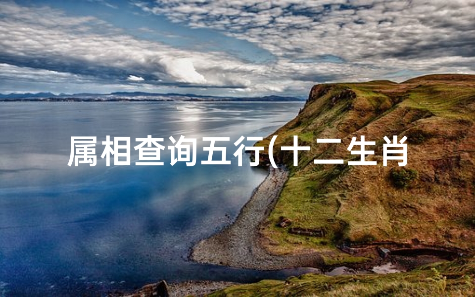 属相查询五行(十二生肖对应的五行及属相年份五行对照表)