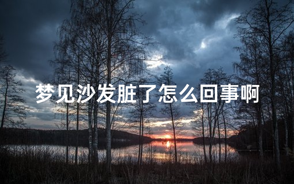 梦见沙发脏了怎么回事啊_梦到沙发很脏
