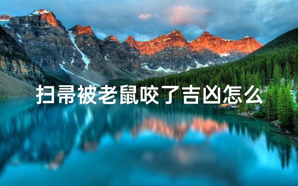 扫帚被老鼠咬了吉凶怎么看-老鼠咬扫把的寓意