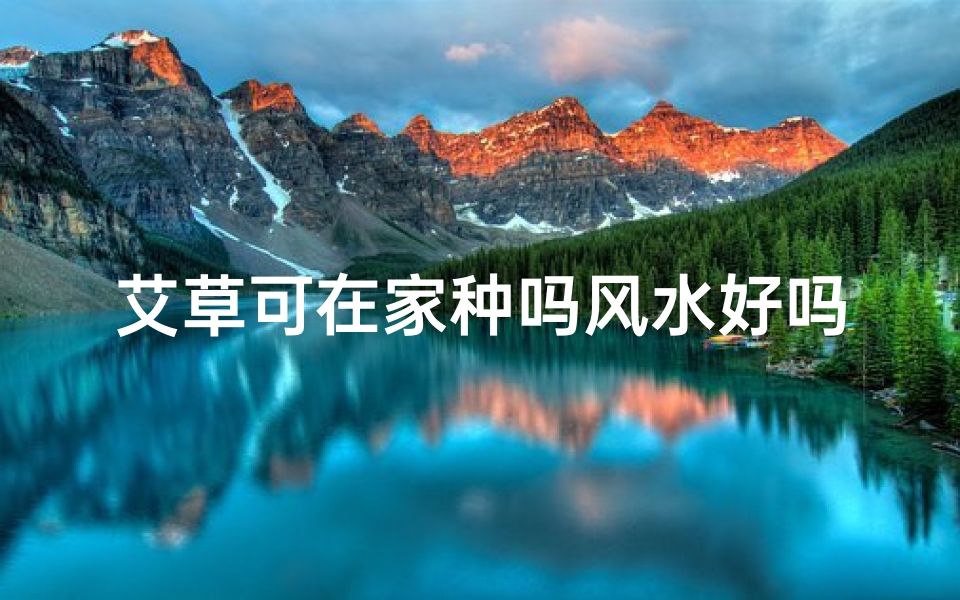 艾草可在家种吗风水好吗—艾草在家种植风水宜人?揭秘家居绿植风水奥秘