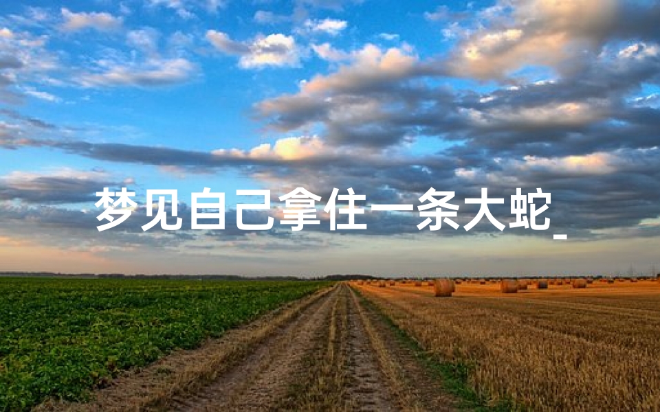 梦见自己拿住一条大蛇_梦见自己拿着一条大蛇