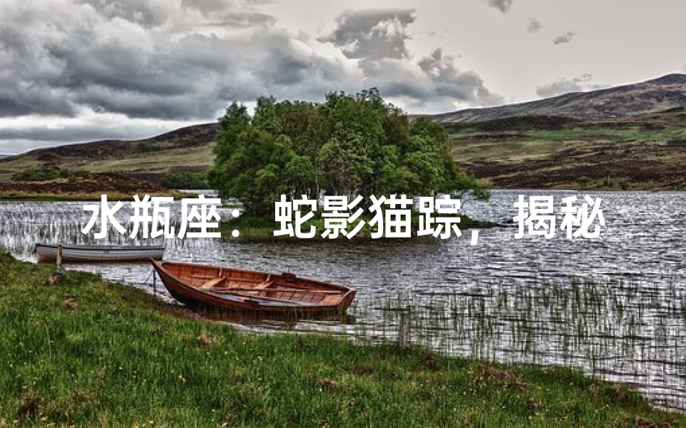 水瓶座:蛇影猫踪,揭秘神秘代表动物