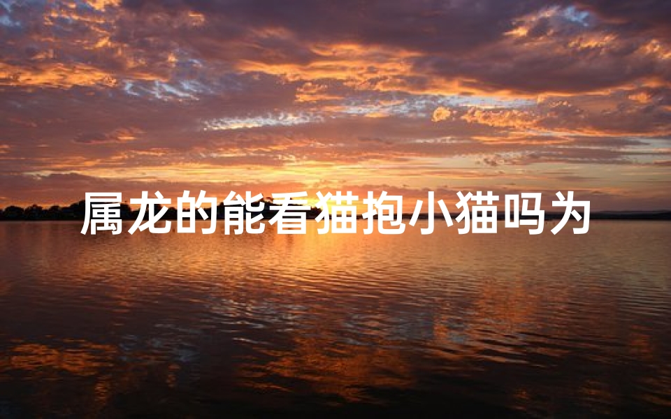 属龙的能看猫抱小猫吗为什么_属龙的人能看猫抱小猫吗?原因揭秘