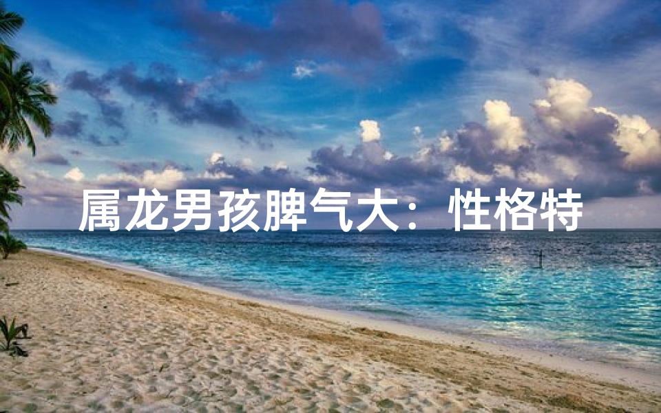属龙男孩脾气大:性格特点解析