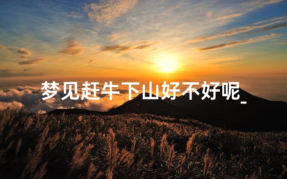 梦见赶牛下山好不好呢_梦见赶牛上山是什么预兆