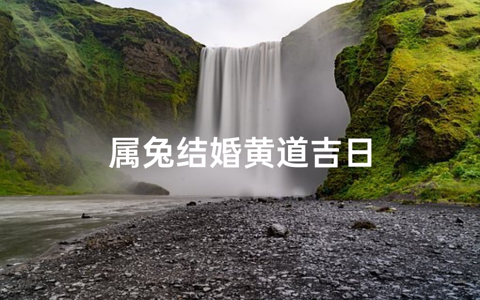 属兔结婚黄道吉日