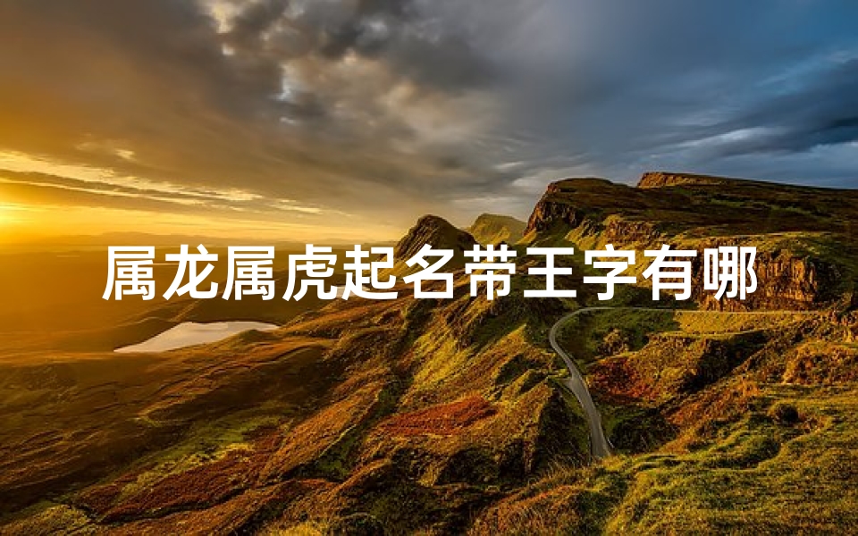 属龙属虎起名带王字有哪些_属龙属虎王者风范:探寻带王字的名字魅力