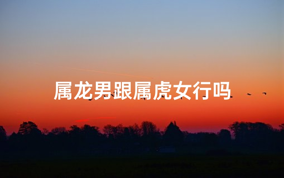 属龙男跟属虎女行吗