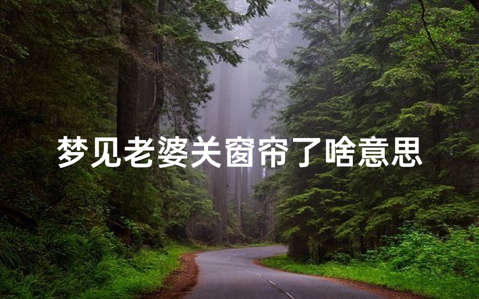 梦见老婆关窗帘了啥意思-梦见老婆半夜开门