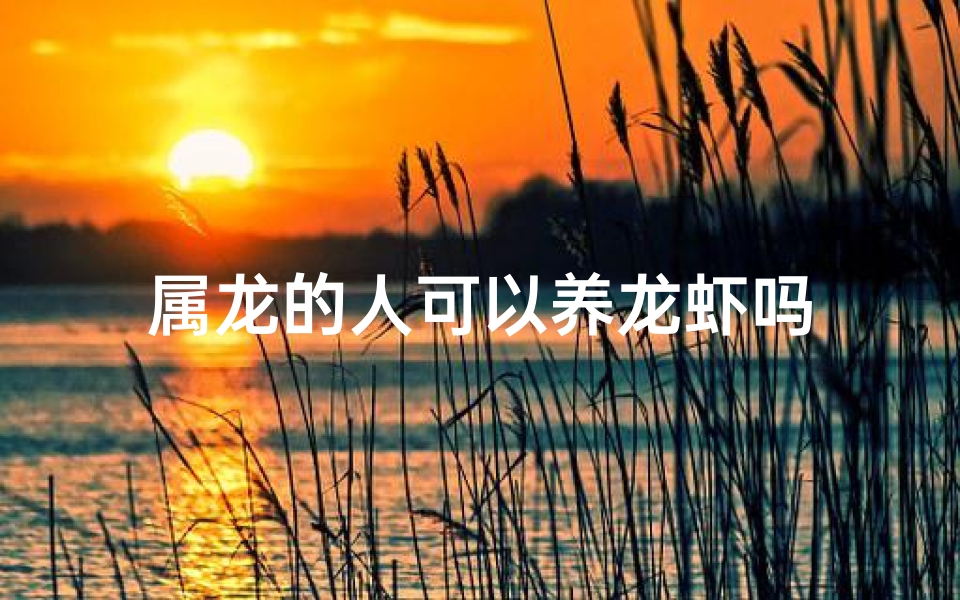 属龙的人可以养龙虾吗