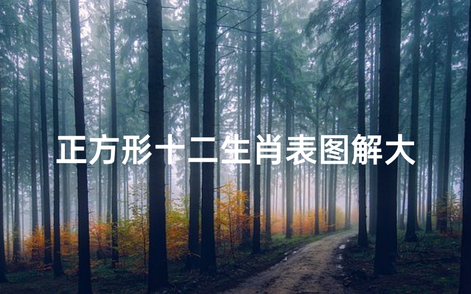 正方形十二生肖表图解大全(十二生肖龙的折法)