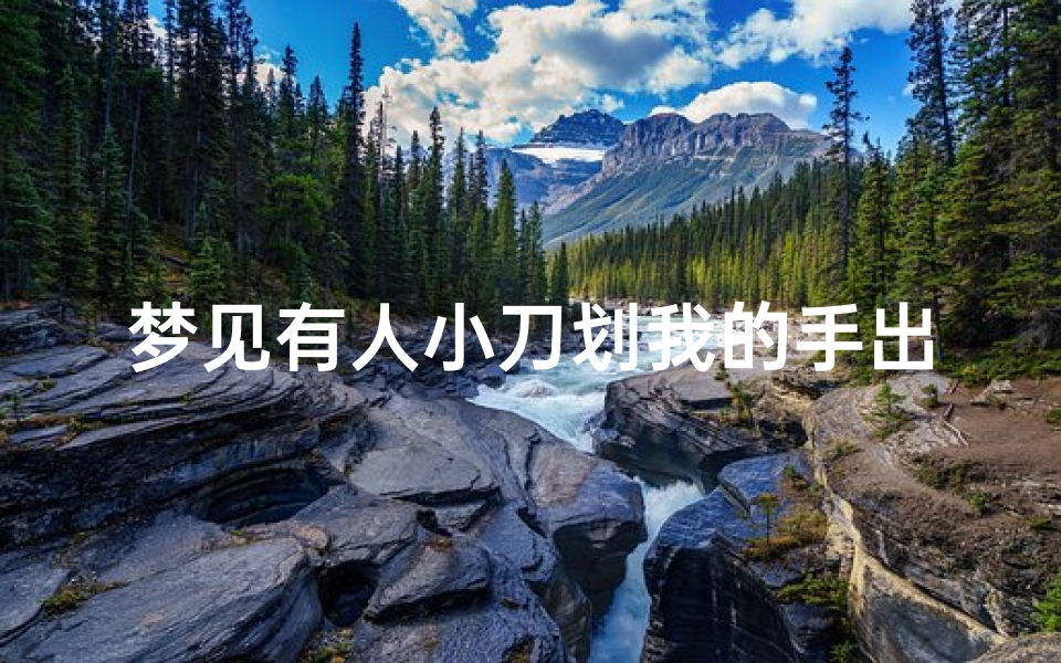 梦见有人小刀划我的手出血—梦见有人小刀划我的手出血什么意思-海瑞算卦网