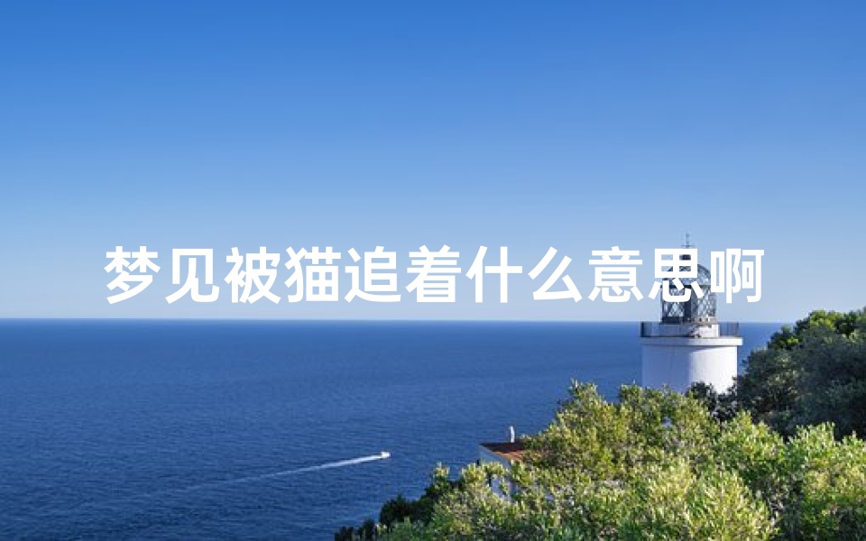 梦见被猫追着什么意思啊周公解梦(梦见被黑猫追)