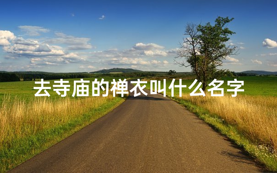 去寺庙的禅衣叫什么名字-海瑞算卦网