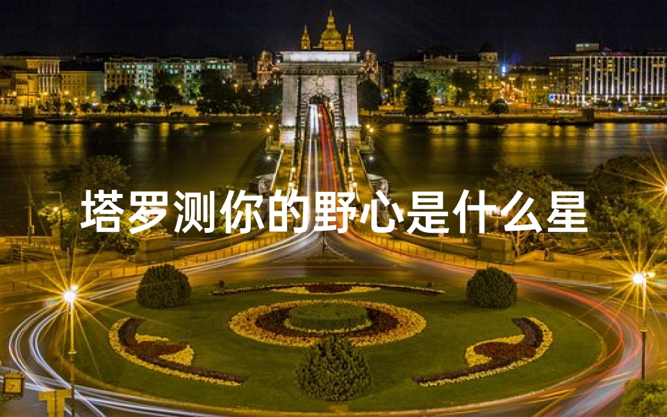 塔罗测你的野心是什么星座(塔罗测试你未来可能进入上层社会圈子吗)