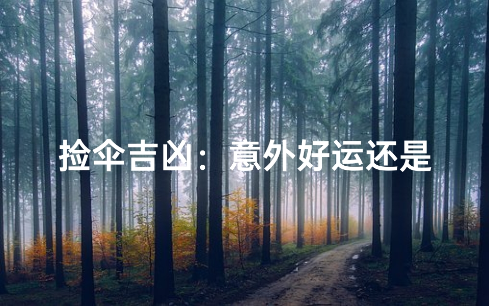 捡伞吉凶:意外好运还是不祥之兆?