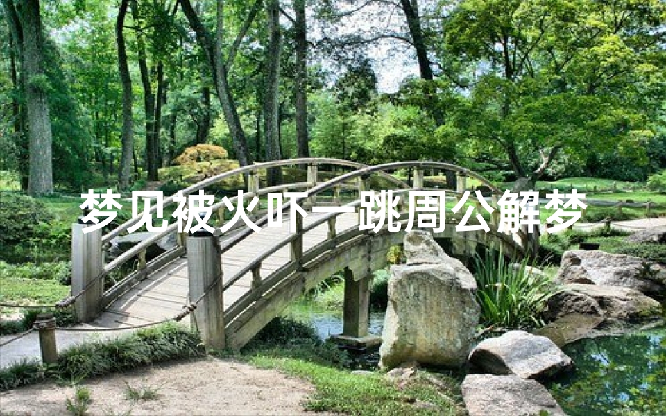 梦见被火吓一跳周公解梦(梦见被火烧寓意)