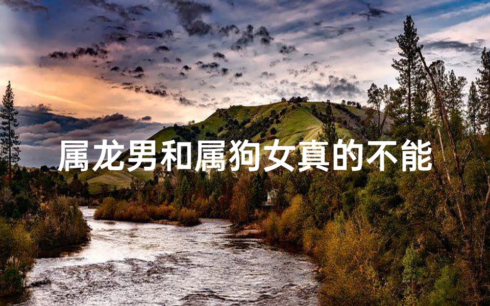 属龙男和属狗女真的不能结婚吗,属龙男与属狗女:能否成为好友?