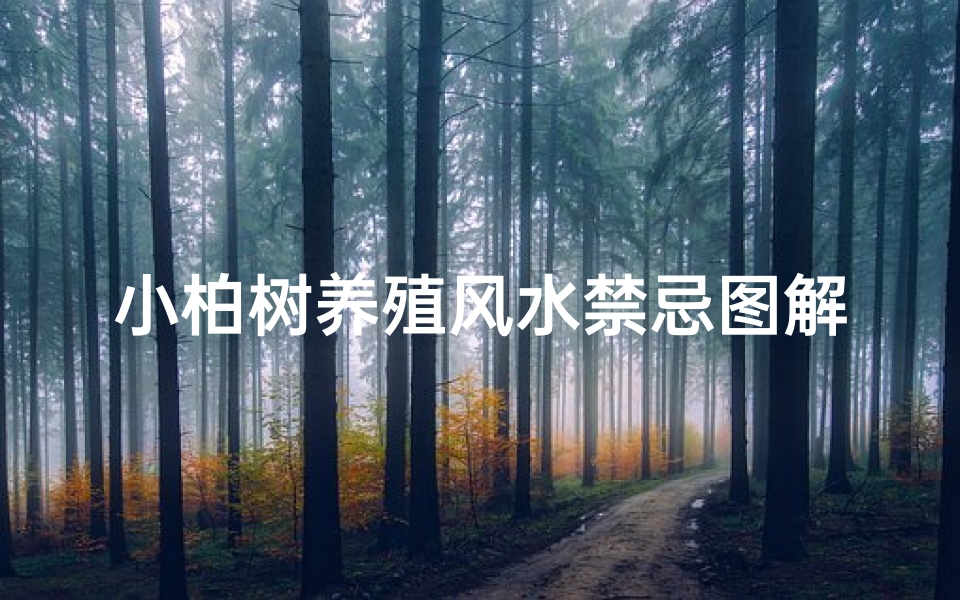 小柏树养殖风水禁忌图解(种植柏树的禁忌)
