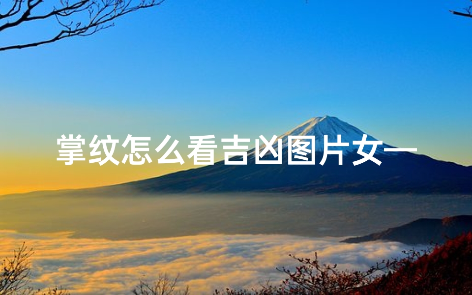 掌纹怎么看吉凶图片女—掌纹揭秘:女性吉凶一览图解
