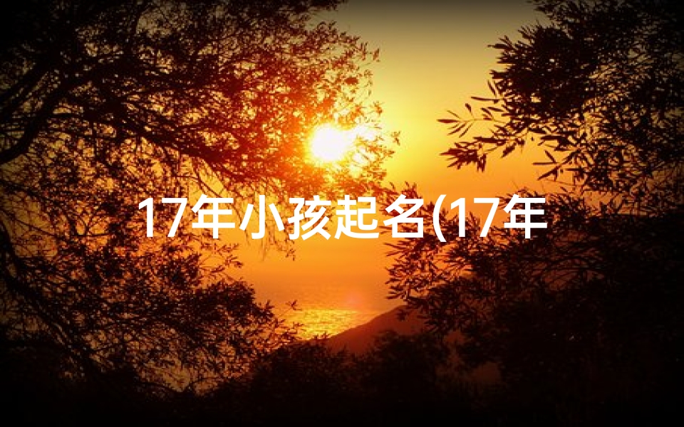 17年小孩起名(17年宝宝取名大全集)