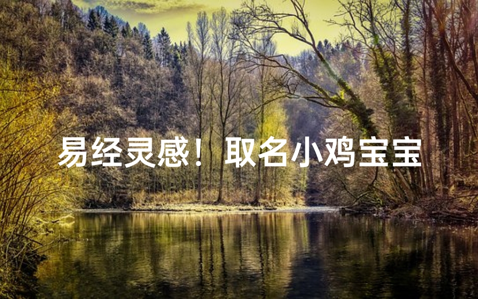 易经灵感!取名小鸡宝宝呼之欲出!