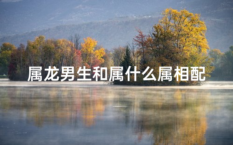 属龙男生和属什么属相配