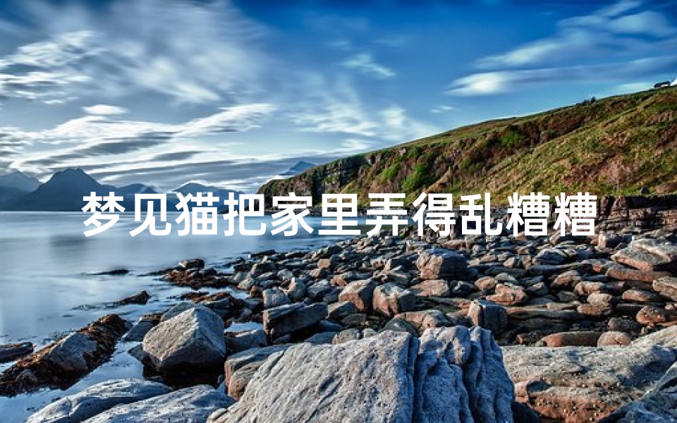 梦见猫把家里弄得乱糟糟—梦见猫把家里弄的很脏-海瑞算卦网