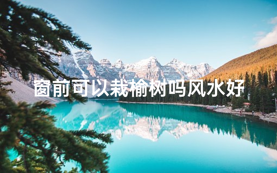 窗前可以栽榆树吗风水好吗,窗前种榆树风水解析:宜忌与吉祥寓意