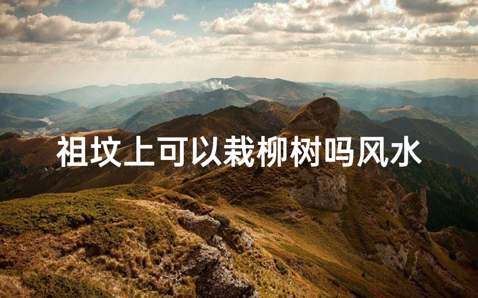 祖坟上可以栽柳树吗风水、祖坟栽柳树风水禁忌揭秘