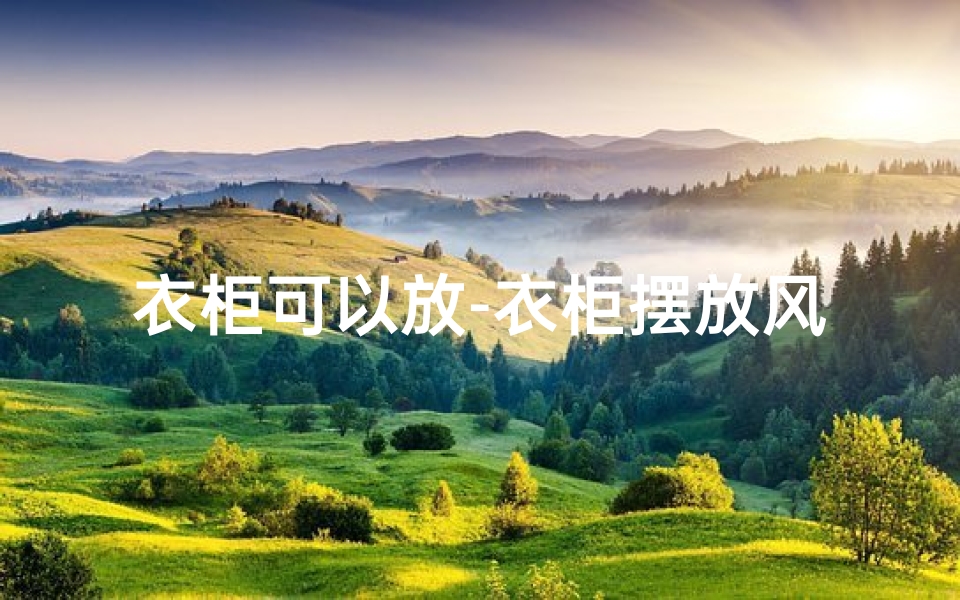衣柜可以放-衣柜摆放风水位置选择技巧揭秘