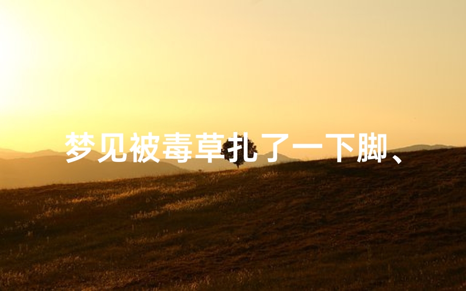 梦见被毒草扎了一下脚、梦见草扎脚是什么意思