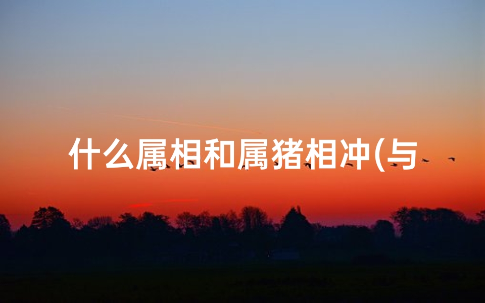 什么属相和属猪相冲(与猪属相相冲相克的是哪个属相 )