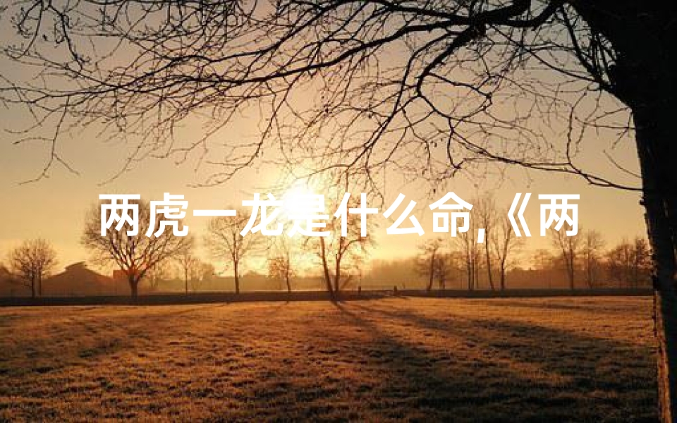 两虎一龙是什么命,《两虎一蛇一猴,揭秘神秘命格之谜》