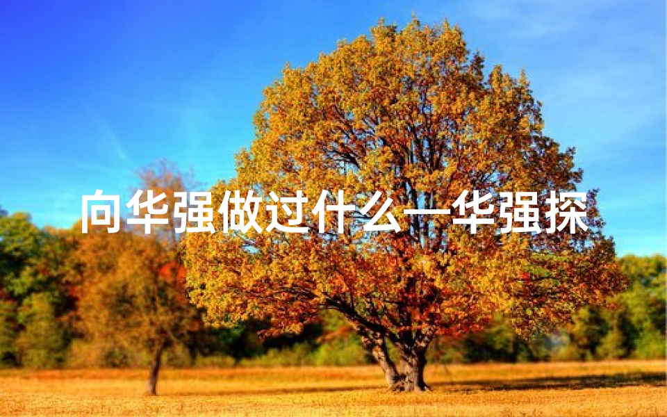 向华强做过什么—华强探秘:神秘寺庙名揭晓,禅意盎然
