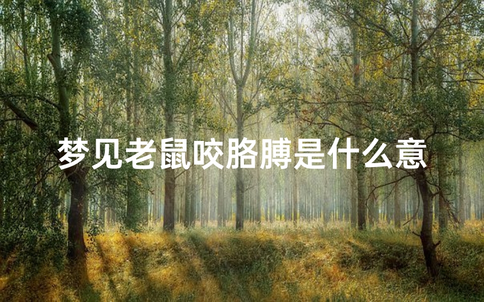 梦见老鼠咬胳膊是什么意思,《梦见老鼠咬胳膊:揭秘吉凶之谜》