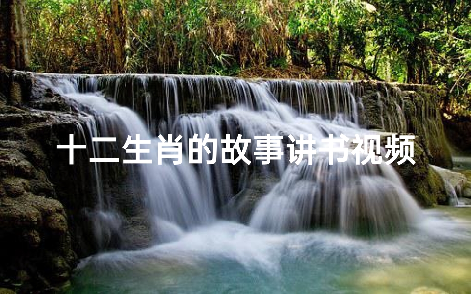 十二生肖的故事讲书视频(读书给我带来的启示六年级作文)