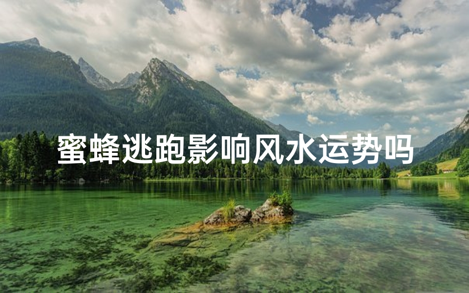 蜜蜂逃跑影响风水运势吗