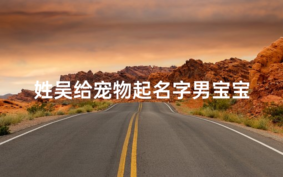 姓吴给宠物起名字男宝宝(我的名字作文)