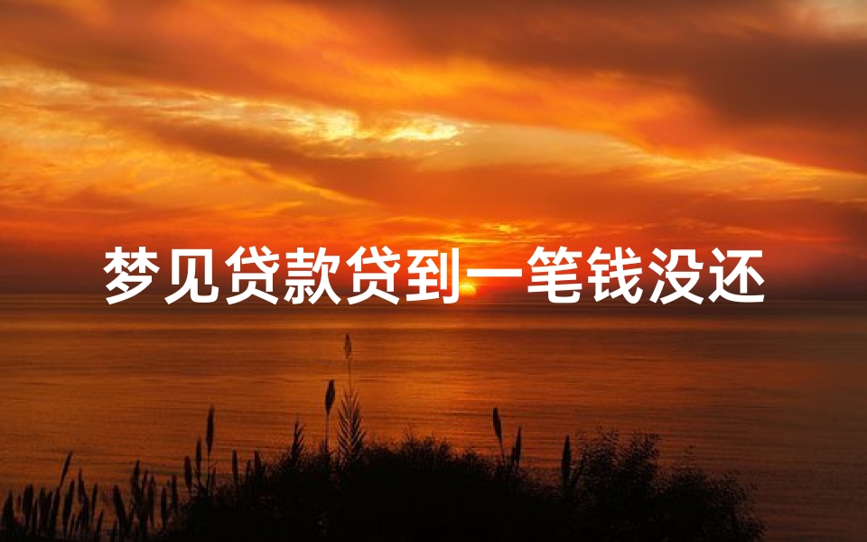 梦见贷款贷到一笔钱没还;梦见银行贷款没还