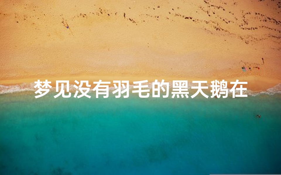 梦见没有羽毛的黑天鹅在天上飞(梦见没有羽毛的黑天鹅在天上飞什么意思)