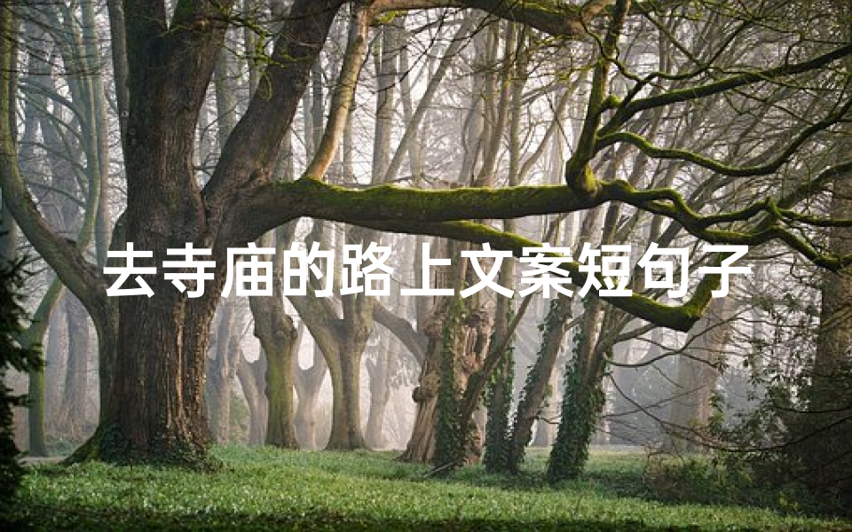 去寺庙的路上文案短句子;寻禅之旅,寺庙路上心自宁