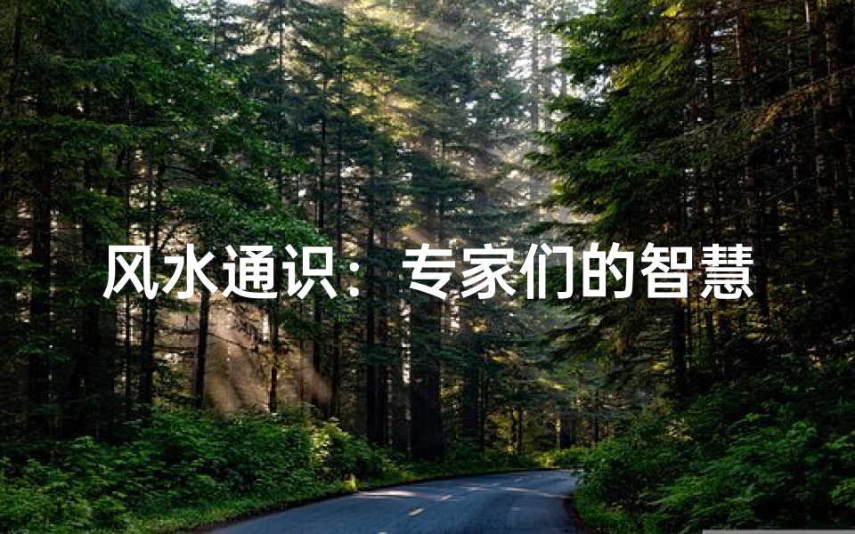 风水通识:专家们的智慧交流