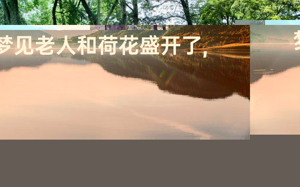 梦见老人和荷花盛开了,梦见看见荷花开放