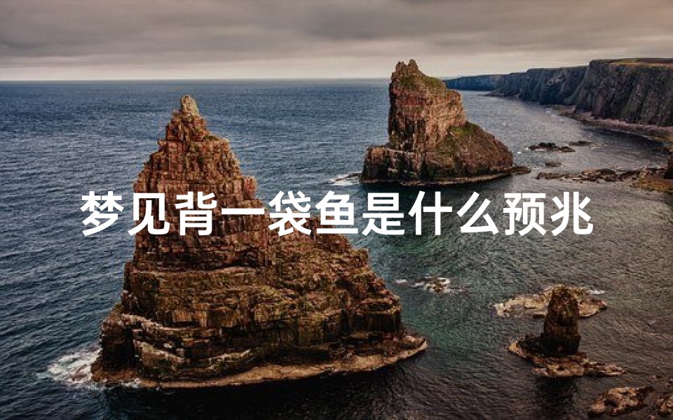 梦见背一袋鱼是什么预兆_梦见自己背一条鱼