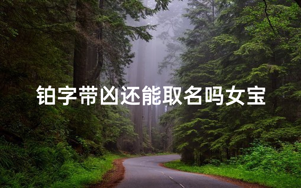 铂字带凶还能取名吗女宝宝