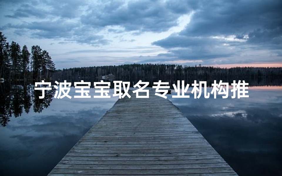 宁波宝宝取名专业机构推荐-服务解析与选择指南