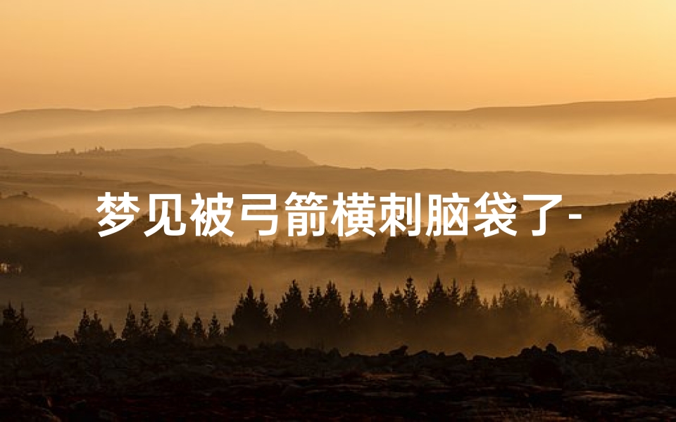 梦见被弓箭横刺脑袋了-梦到被弓箭刺穿头皮