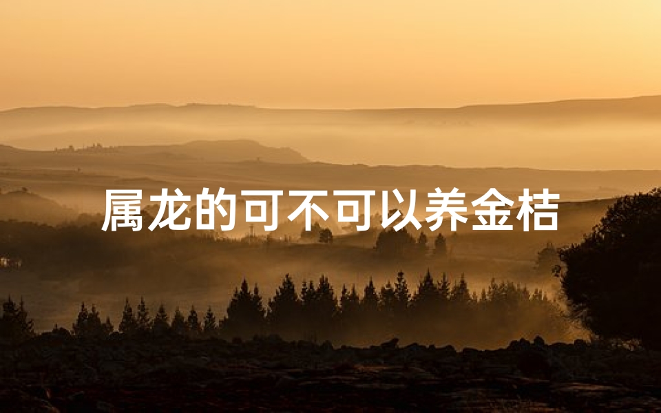 属龙的可不可以养金桔